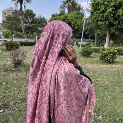 Blush Pashmina